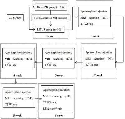 Assessment of Neuroprotective Effects of Low-Intensity Transcranial Ultrasound Stimulation in a Parkinson’s Disease Rat Model by Fractional Anisotropy and Relaxation Time T2∗ Value